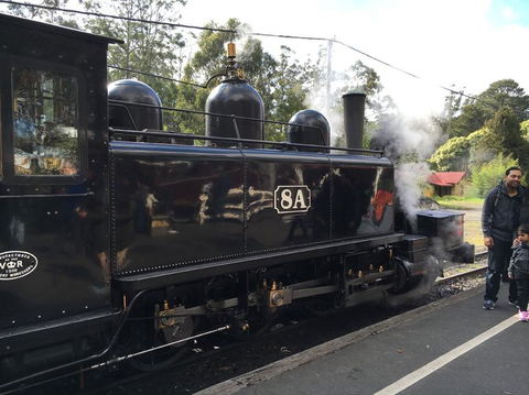 Yarra Valley Wineries And Puffing Billy Steam Train Tour From Melbourne - Accommodation Newcastle 13
