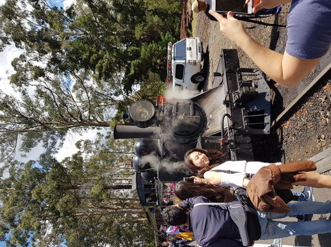 Yarra Valley Wineries And Puffing Billy Steam Train Tour From Melbourne - Accommodation Newcastle 5