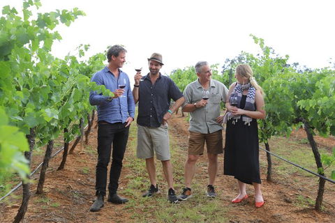 Yarra Valley Wineries And Puffing Billy Steam Train Tour From Melbourne - Accommodation Newcastle 29