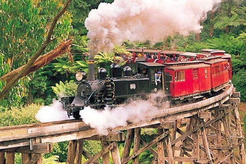 Yarra Valley Wineries And Puffing Billy Steam Train Tour From Melbourne - Accommodation Newcastle 33