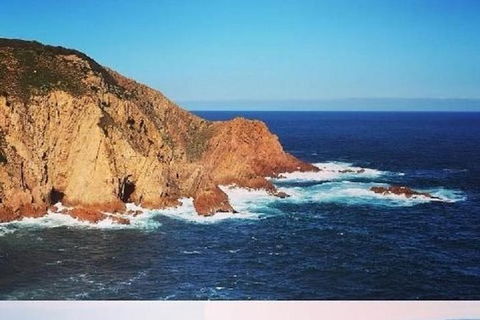 Half Day Phillip Island Woolamai Walking Tour - Accommodation Newcastle 6