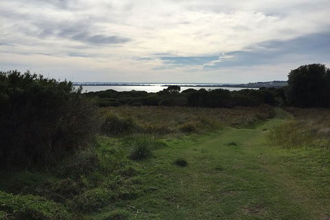 Half Day Phillip Island Woolamai Walking Tour - Accommodation Newcastle 4