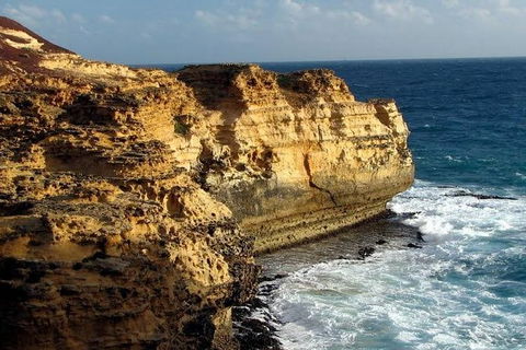 Half Day Phillip Island Woolamai Walking Tour - Accommodation Newcastle 12