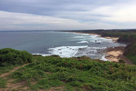Half Day Phillip Island Woolamai Walking Tour - Accommodation Newcastle 13