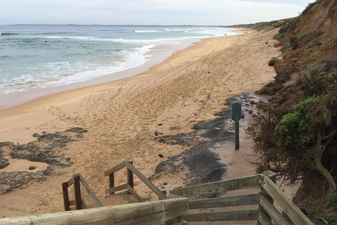 Half Day Phillip Island Woolamai Walking Tour - Accommodation Newcastle 11