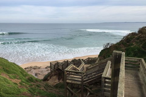 Half Day Phillip Island Woolamai Walking Tour - Accommodation Newcastle 5