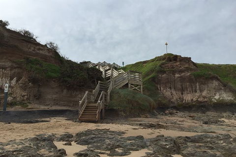 Half Day Phillip Island Woolamai Walking Tour - Accommodation Newcastle 14