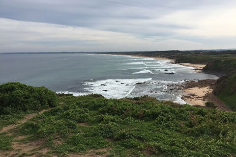 Half Day Phillip Island Woolamai Walking Tour - Accommodation Newcastle 10
