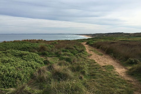 Half Day Phillip Island Woolamai Walking Tour - Accommodation Newcastle 3