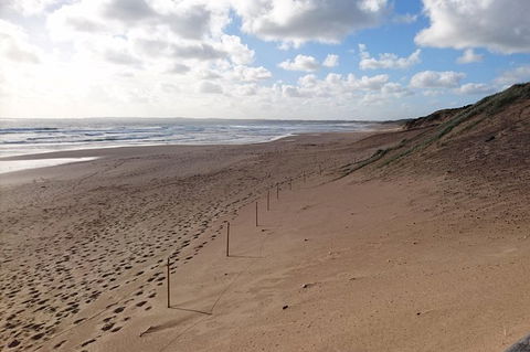 Half Day Phillip Island Woolamai Walking Tour - Accommodation Newcastle 7