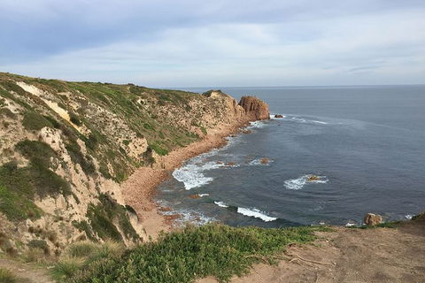 Half Day Phillip Island Woolamai Walking Tour - Accommodation Newcastle 2