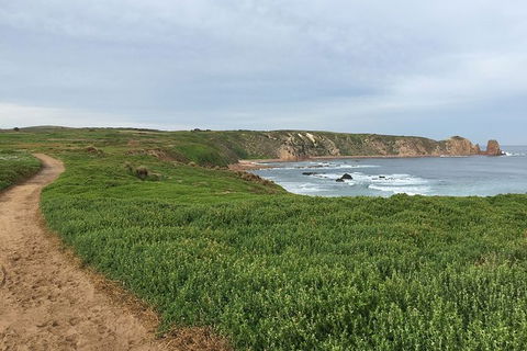 Half Day Phillip Island Woolamai Walking Tour - Accommodation Newcastle 9