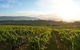 Yarra Valley Unique Experience - thumb 1