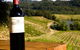 Yarra Valley Unique Experience - thumb 0