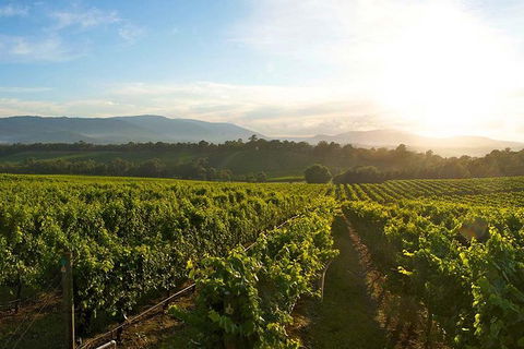 Yarra Valley Unique Experience - Accommodation Newcastle 3