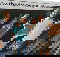 Budget Penguin Express Tour from Melbourne - Accommodation Newcastle