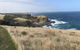 Penguins Walks And Wildlife In The Wild - thumb 1