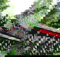 Dandenong Ranges Tour by Puffing Billy Steam Train - Accommodation Newcastle