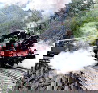 Puffing Billy  Wineries Full-Day Tour from Melbourne - Accommodation Newcastle