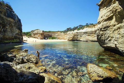 12 Apostles Eco-Friendly Great Ocean Road Iconic Adventure From Melbourne - Accommodation Newcastle 4