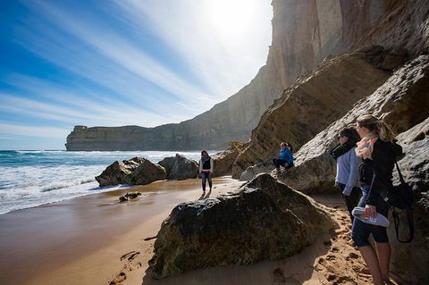 12 Apostles Eco-Friendly Great Ocean Road Iconic Adventure From Melbourne - Accommodation Newcastle 8