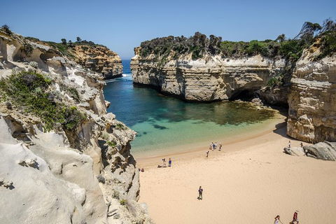 12 Apostles Eco-Friendly Great Ocean Road Iconic Adventure From Melbourne - Accommodation Newcastle 7