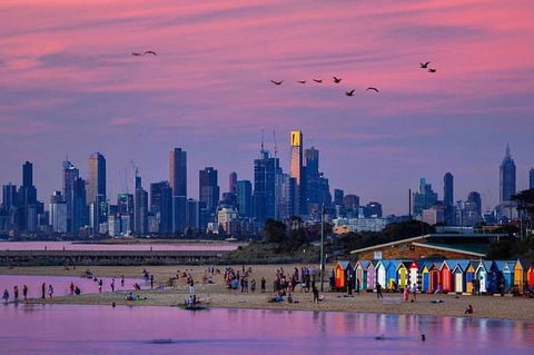 Melbourne Half-Day Or Full-Day Private Guide Tour By 4WD Mini Bus - Accommodation Newcastle 6