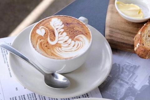 Melbourne Half-Day Or Full-Day Private Guide Tour By 4WD Mini Bus - Accommodation Newcastle 4