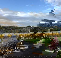 Mornington Peninsula Wine and Cheese Tasting Day Trip from Melbourne - Accommodation Newcastle