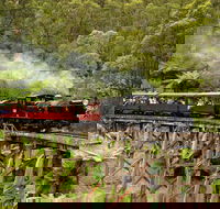 Perfect day in Melbourne for travelers on ocean cruise or short stay - Accommodation Newcastle