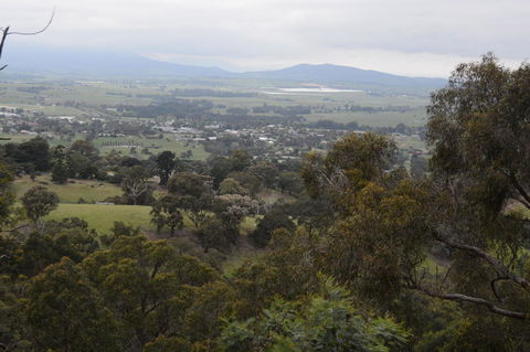 Yarra Valley Wine & Food Day Tour From Melbourne With Lunch At Yering Station - Accommodation Newcastle 2