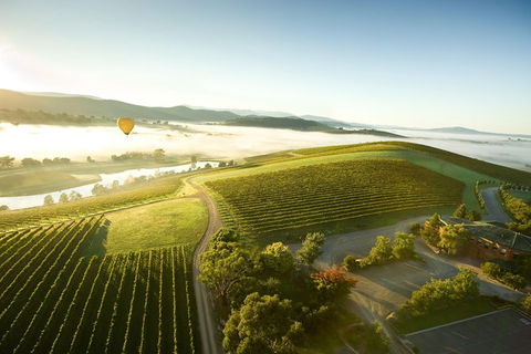 Yarra Valley Wine & Food Day Tour From Melbourne With Lunch At Yering Station - Accommodation Newcastle 10