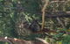 Yarra Valley Wildlife & Wine Day Tour From Melbourne With Healesville Sanctuary - thumb 10