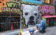 Melbourne Lanes And Arcades Walking Tour - thumb 13