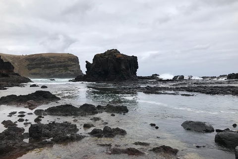Explore Mornington Peninsula Incl. Bushrangers Bay With Organic Conservation(PT) - Accommodation Newcastle 1