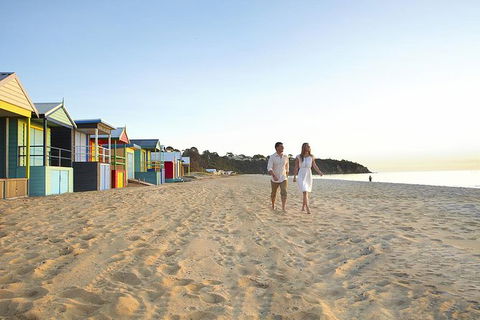 Around The Bay Sightseeing And Bay Cruise - Accommodation Newcastle 6