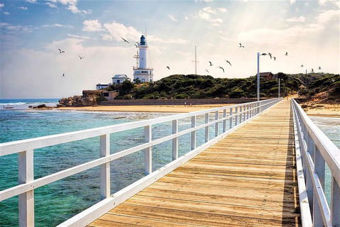 Around The Bay Sightseeing And Bay Cruise - Accommodation Newcastle 9