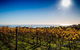 Bellarine Food And Wine Taste Trail - thumb 3