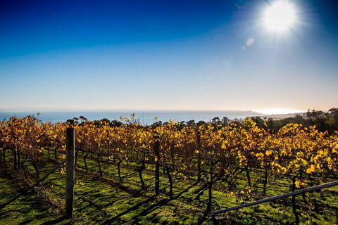 Bellarine Food And Wine Taste Trail - Accommodation Newcastle 3