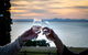 Bellarine Food And Wine Taste Trail - thumb 2