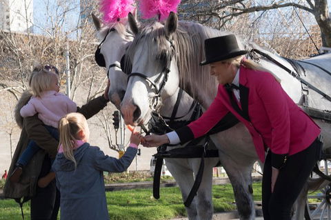 Melbourne Horse Drawn Carriages 1 Hour City And Garden - Accommodation Newcastle 1