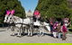 Melbourne Horse Drawn Carriages 1 Hour City And Garden - thumb 0