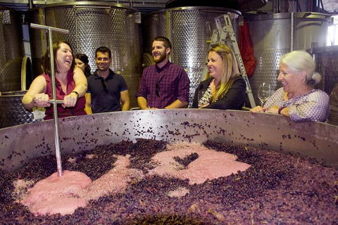 Mornington Peninsula Winery Tour Including Wine Tastings And 2-Course Lunch - Accommodation Newcastle 0