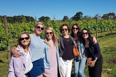 Mornington Peninsula Winery Tour Including Wine Tastings And 2-Course Lunch - Accommodation Newcastle 8