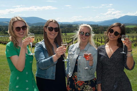 Mornington Peninsula Winery Tour Including Wine Tastings And 2-Course Lunch - Accommodation Newcastle 5