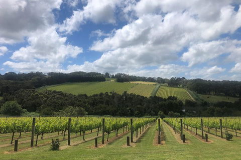 Mornington Peninsula Winery Tour Including Wine Tastings And 2-Course Lunch - Accommodation Newcastle 3