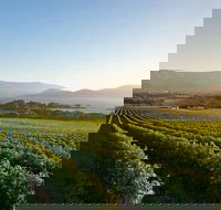 Small-Group Guided Yarra Valley Winery Tour with Wine Tasting - Accommodation Newcastle