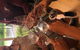 Small-Group Guided Yarra Valley Winery Tour With Wine Tasting - thumb 5