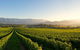 Small-Group Guided Yarra Valley Winery Tour With Wine Tasting - thumb 2