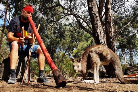 Bellarine Peninsula Sightseeing And Bay Cruise - Accommodation Newcastle 2